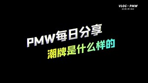 pmw是什么牌子
