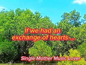 💝 Exchange of Hearts 💝 👉Song by; David Slater Cover by; Emerson Condino 👈 🌹🌹🌹 With Lyrics 🌹 🌹 🌹 | Single Mother Music Lover