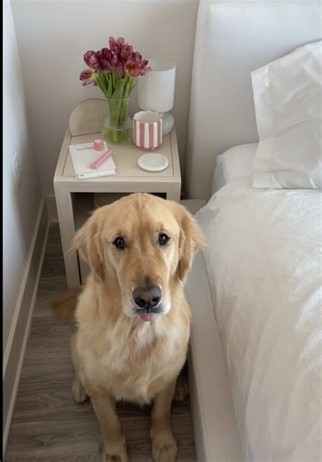 @Liaison The Label set in the color SAND 💌 @csb @New Balance #ootd #pilates #workoutset