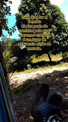 Deus vai te tirar dele 🙏🏼#deserto #confienoprocesso #shortvideo #viral #sitio #roça #aprender #fé