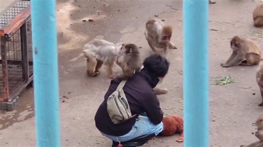 26.02.2026 #punchkun #punchi #punch #babypunch | baby boy punch scene