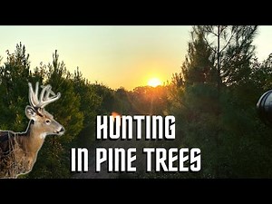 Whitetails Among the Trees: Deer Hunting in Louisiana.