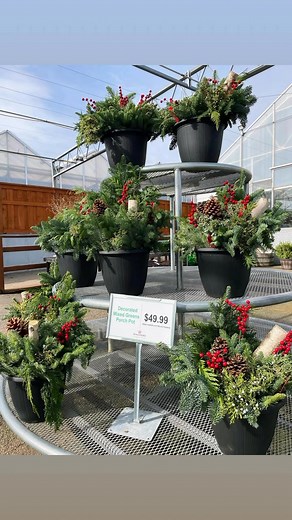 Ready to create your own beautiful mixed evergreen container? Join one of our hands-on workshops at Wagner’s happening this Sunday! You will learn step-by-step how to assemble and care for a custom evergreen arrangement 🌲We’ll cover a variety of evergreen boughs and share some ways in which you can add your own unique touch. Feel free to bring your own decorations. There are many spaces still available for both Sunday workshops, so don’t miss out! Register on our website - http://bit.ly/43szyWu
