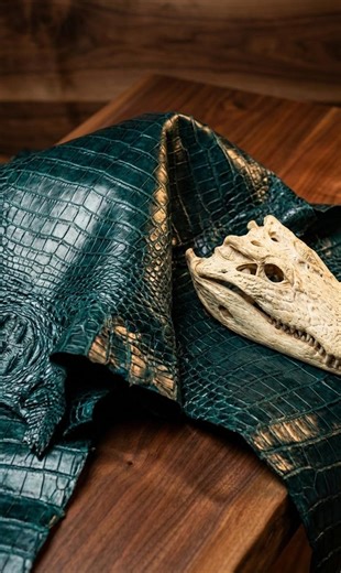 3 Large Black Alligator Hide, 10ft+ Louisiana Gator Skin, Leathercraft /vulture Culture - Etsy