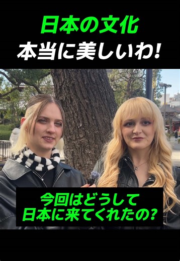 日本の文化の美しさを探る