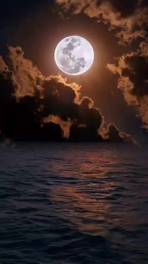 Gojes (@gojes0898)’s videos with Dreamer - Gabbana