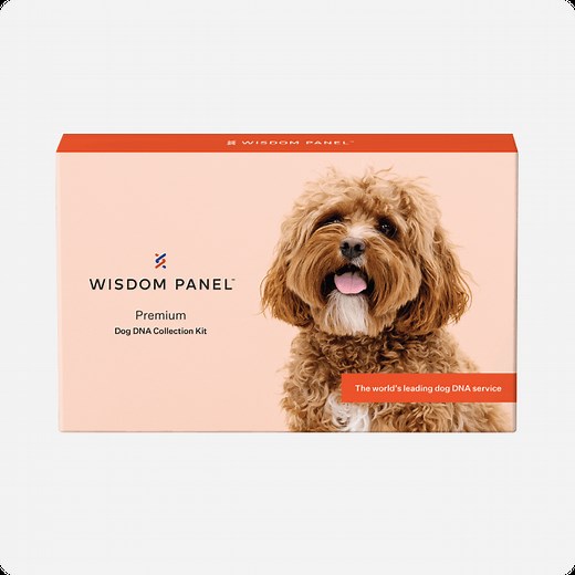 Wisdom Panel™ Premium | The most accurate dog DNA test