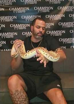 Python Handling 101 #snakehandling #snaketraining #ballpythons #ballpythonsnake