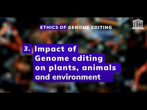 Ethics of Genome Editing. Impact of Genome editing on plants, animals and environment