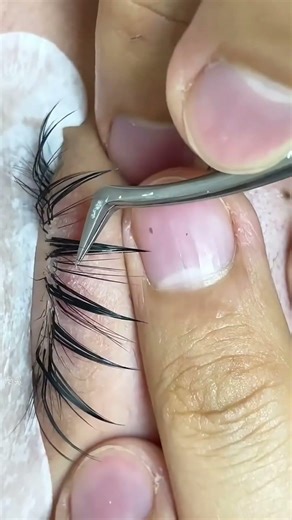 How to Create Anime Lash Set That Clients Love 💖 | Pro Lash Tutorial #lashartist #lashes #lashtips