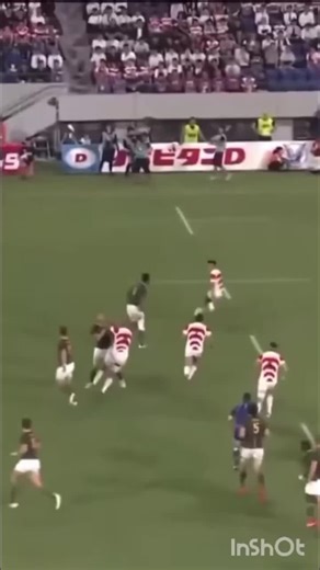 Chasing the Bok on TikTok
