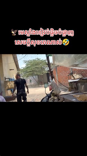 វីដេអូ​របស់ KANET news (@kanet96) ជាមួយ original sound - KANET news