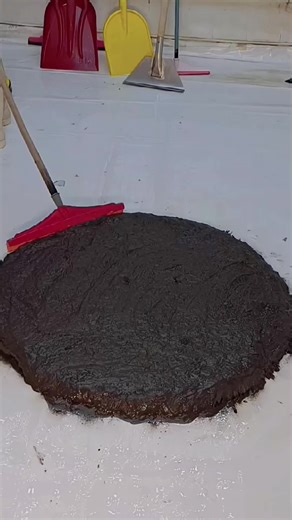 Ultimate Rug Cleaning Tips for a Fresh Home