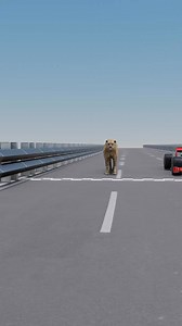 522K views · 10K reactions | World's Fastest Car Vs Cheetah!  ( 3D Animation in Hindi ) #facebookreel #reels | engineerexplaininhindi | Facebook