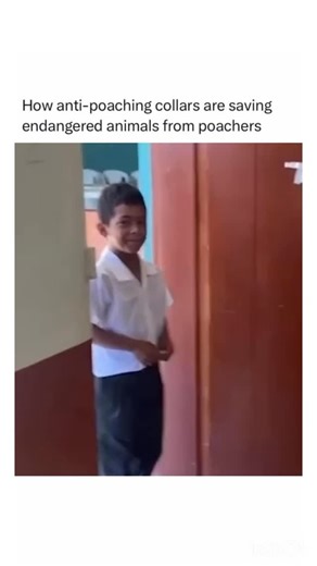 How Stuff Works ⚙️ on Instagram: "Anyone can participate by performing an act of kindness, filming it, posting it, tagging MrBeast + 1 Billion Summit, and submitting the entry on the link in bio. 10 winners will join MrBeast for a trip to build a village in Ghana (and be featured on MrBeast’s YouTube channel). #1BillionSummit #1BKindness #MrBeast #paidpartner @1billionsummit @mrbeast"