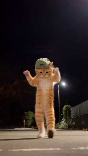 Cat Hip Hop Dance: Hilarious Moves and Fun Antics