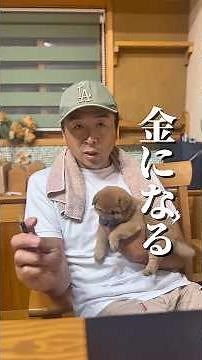 大工の働き方の正解は⁈ #大工