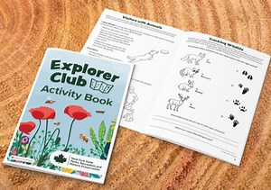 N.Y. offers free ‘Explorer Club Activity Book’ to engage kids in the outdoors