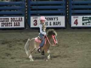 Little Barrel Racer