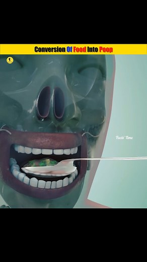 Stomach میں کھانا ہضم کیسے ہوتا ہے | Food Digestion In Urdu #digestion #Stomach #humanbody #humanfacts #reelsfb stomachsystem,digestionprocess,humanbodyfacts,viralvideo,fbreels | FACTS TIME