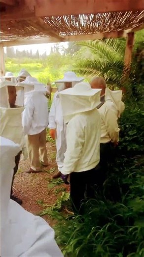 Honey extraction 🍯 and queen protection 👑 🐝 part 10