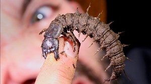 Confronted by a Creature Beyond This World