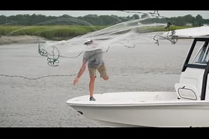 New 2024 Sea Fox 251 Bay Fox, 29407 Charleston - Boat Trader