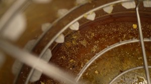 🔥 I’ve just upgraded to an automatic water-jacketed honey extractor… and it’s brilliant. For anyone processing more than a handful of supers each season, this type of extractor is a serious step up in terms of efficiency and honey quality. A water jacket keeps the extractor at a stable, gentle temperature, which means the honey runs freely without overheating or thickening. The automatic cycle takes away the constant stopping, starting and adjusting — you load the frames, set the programme and 