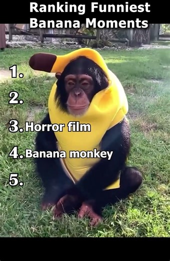 Funniest Banana Moments 🍌😂