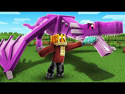 Minecraft, aber mit DRACHEN