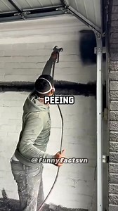 127K views · 1K reactions | Random Facts. . | Untold Facts | Facebook