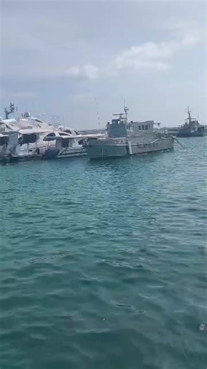 Dance Trends: Join the Most Popular Moves