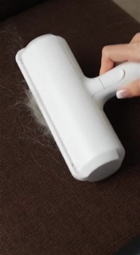 The Clean Path Is So Satisfying #Delomo #pethairremoval #tiktokshopholidayhaul #petparentmusthave #cleantok