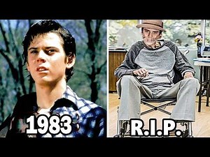 THE OUTSIDERS (1983) What Happened To The Cast After 42 Years?!
