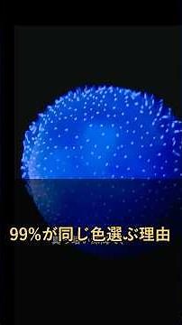 99%の深海生物が青い理由、ヤバすぎた