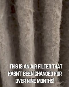 1.3K reactions · 123 shares | Breathe easy, live healthy!  Shop Filterbuy for the right air filter made in America. Compare sizes & types now and let your family breathe better! | Filterbuy, Inc. | Facebook