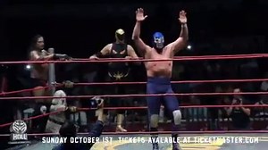 17K views · 121 reactions | HEROES OF LUCHA LIBRE Nunca viste Lucha Libre de esta manera!!! You've never seen Lucha Libre like this $18 tickets- Free parking www.ticketmaster.com www.boletopia.com | Heroes Of Lucha Libre | Facebook