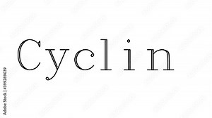 Cycling Animated Handwriting Text in Serif Fonts and Weights