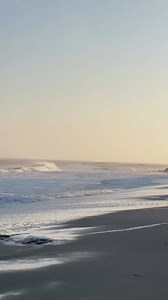 6.3K views · 102 reactions | ✨ Road trippin’ to Carolina Beach >> : @saraxmueller | Visit Carolina Beach, NC | Facebook