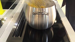 Sleek kitchens that include induction cooktops and ventilation hood