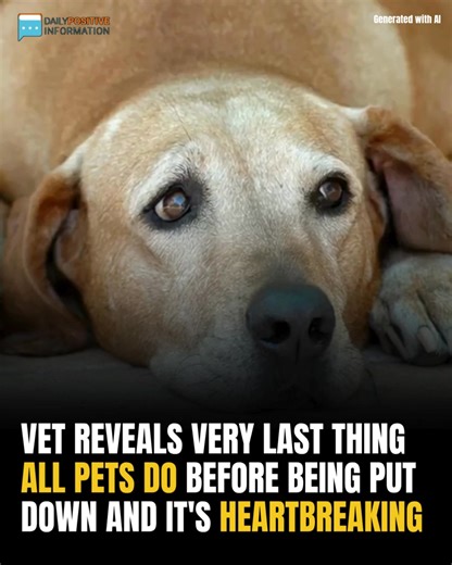 This breaks my heart 💔🥺 check in comm: | About Life