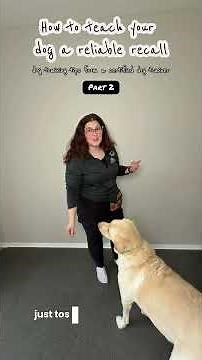 How to teach your dog a RELIABLE recall | Part 2 #dogtraining #recalltraining
