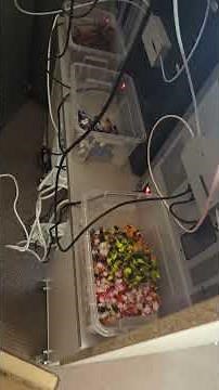 DIY Ring Light Chaos: 3D Print Fails, Storms, & a Swimming Pool Balcony! 😅