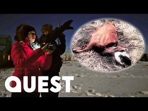 Are UFOs To Blame For These Animals Mysteriously Dying? | Alien Highway