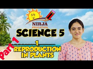 Class 5 Science chapter 1 Part 1 Video Lecture