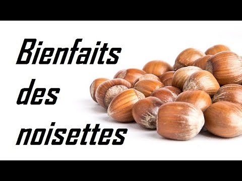 Les bienfaits des noisettes