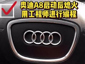 奥迪p1129故障码怎么解决