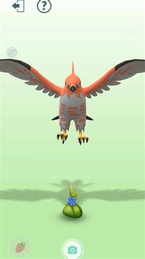 My Buddy Talonflame Got Me GIFTS 😳🔥 #pokemonbuddy #talonflame #pokemongo