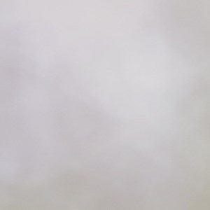 1K reactions · 164 shares | Billets disponibles dès maintenant Nick Cave and The Bad Seeds en concert à Paris le 14 juin à l'AccorHotels Arena Paris. Toutes les dates de la tournée : nickcave.com/tour-dates/ | Nick Cave & The Bad Seeds | Facebook