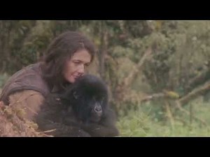 Dian Fossey - The Woman Who Lived Among Gorillas In Volcanoes National Park - Untold Story Rwanda